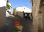 infiorata (31)